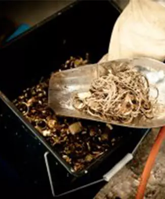 Compra al mayor de oro y plata en Canarias